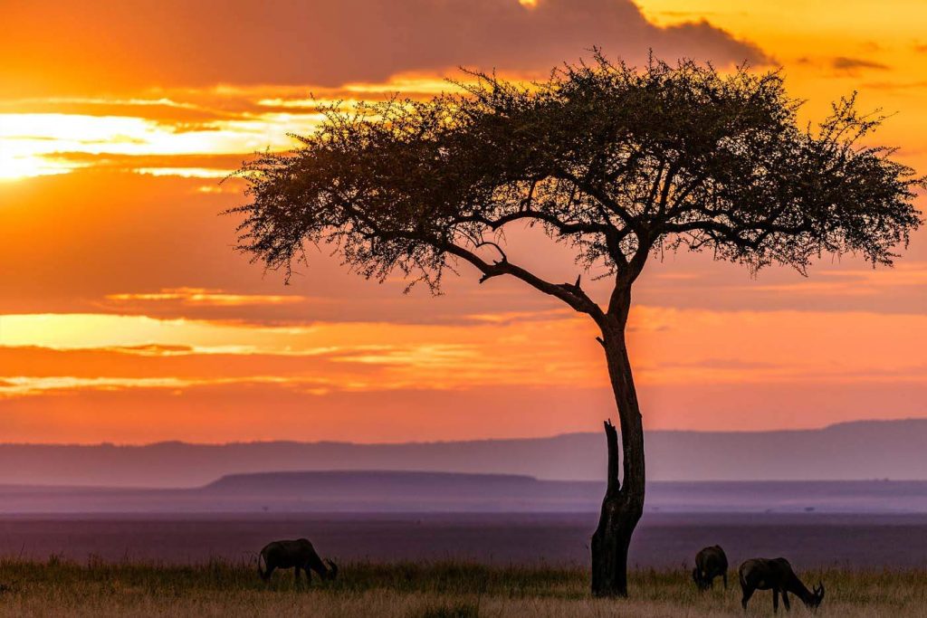Things You Need to Know Before You Travel to Kenya