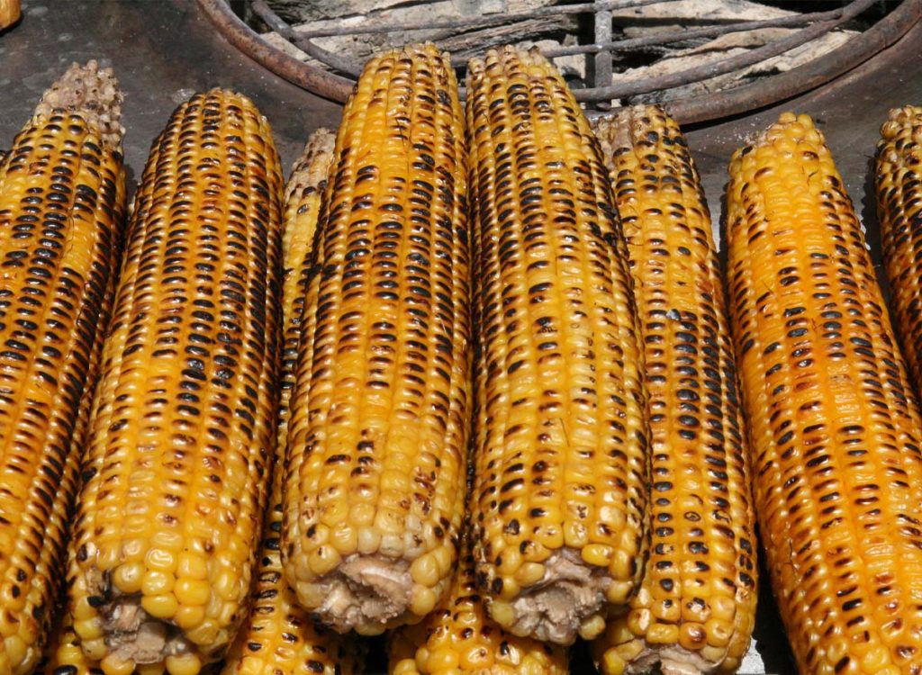 Roasted or Grilled-maize