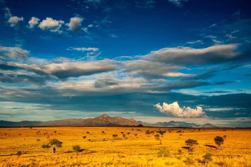 kidepo valley national park narus velly landscape